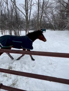 Someone enjoyed the weather yesterday. It was not me 🤣Enough with the snow 🥶