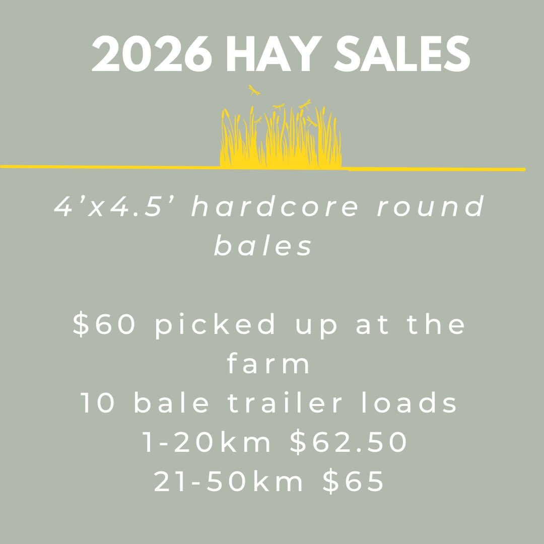Our 2026 pricing is now set for our 4’ x 4.5’ hardcore round bales of meadow hay (a balanced mix of grasses and legumes).

Pre-orders are not open yet. We’ll be reaching out within the next two weeks to customers who purchased from us in 2025, as they’ll have the first opportunity to book their hay for the coming season.

Thank you sincerely for your support in 2025. We’re looking forward to a great season and keeping our fingers crossed for perfect haymaking weather in 2026 💚