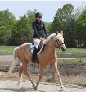 Fox Field Brewed Awakening has officially started under saddle and we couldn’t be happier with how this special young horse is developing with @buxtonequestrian 

This 2023 sport horse gelding by Golden State NRW out of Quiet Cove is showing all the qualities we hoped for. He has a kind brain, natural balance, and an exciting future ahead.

“Roger” is available for a rider looking for a quality young prospect to develop for the future. ✨

#SportHorseProspect  #HorseForSale #DressageProspect #GoldenStateNRW #BuxtonEquestrian