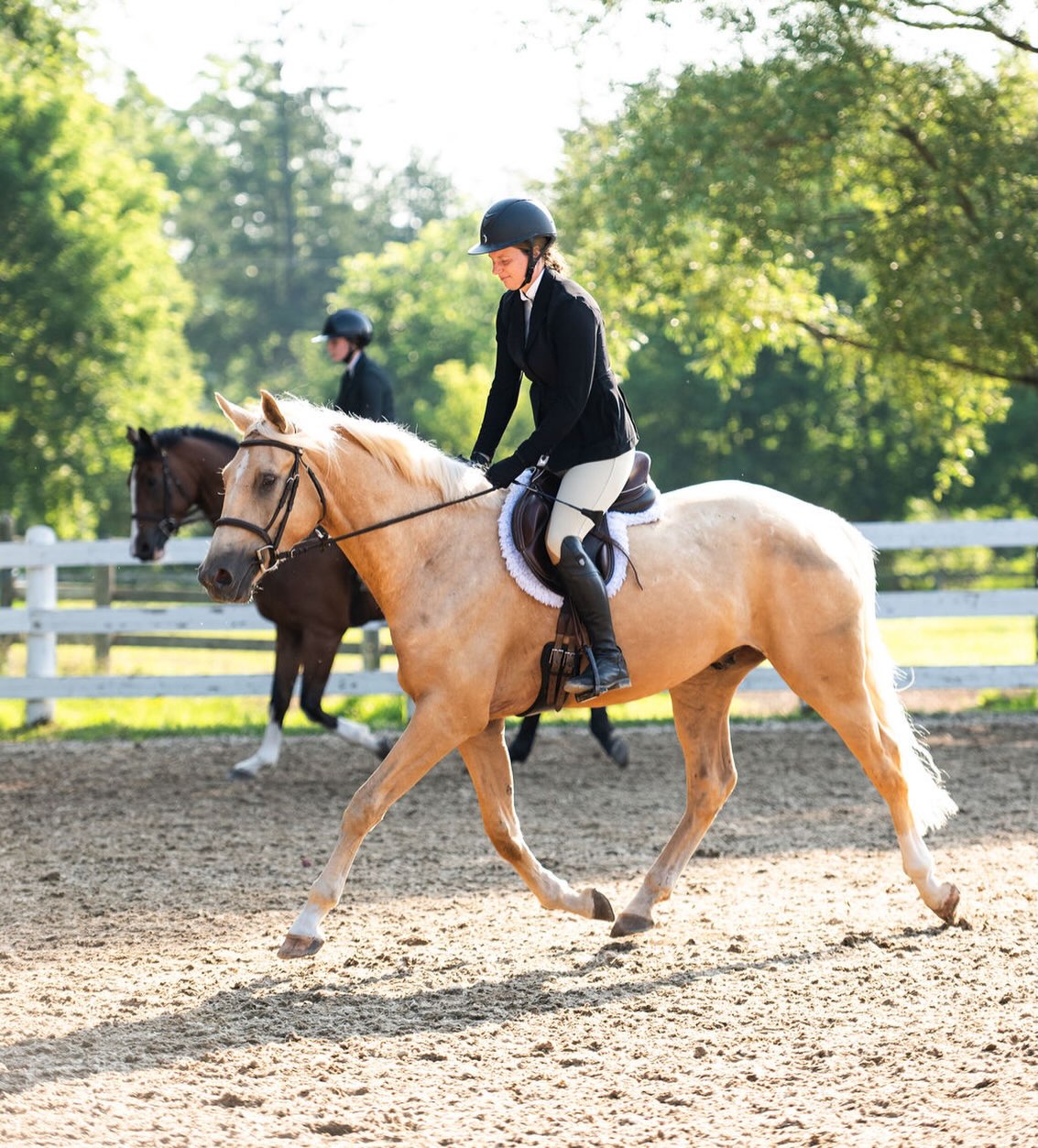 Every horse has a first show, and this weekend was Roger’s. 💛

We’re so proud of how our golden boy handled himself, showing us exactly why we believe in his future. These early experiences are all about building confidence, and Roger came home with plenty of that.

A huge thank you to the incredible team @pickeringhorsecentre for creating such a positive, supportive environment. 

@buxtonequestrian and team you did an amazing job making Roger’s first outing a success. We’re grateful to you for putting  the horses first.

And thank you to show photographer @mdp.photography for capturing these special moments that we’ll treasure for years to come. 📸
Here’s to many more adventures ahead, Roger! ✨
