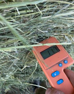 And just like that, hay season 2026 is officially underway! 🌾

Our first round bale of the year is tied up and sitting pretty in the field. Green, dry, and exactly the kind of start we were hoping for.

There are still plenty of acres to go and lots of weather forecasts to obsess over, but today we’re celebrating the first bale!🚜

#FoxFieldFarm #HaySeason #horsehay #RoundBales